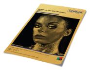 Excellence Film Gold 100 adhesive
